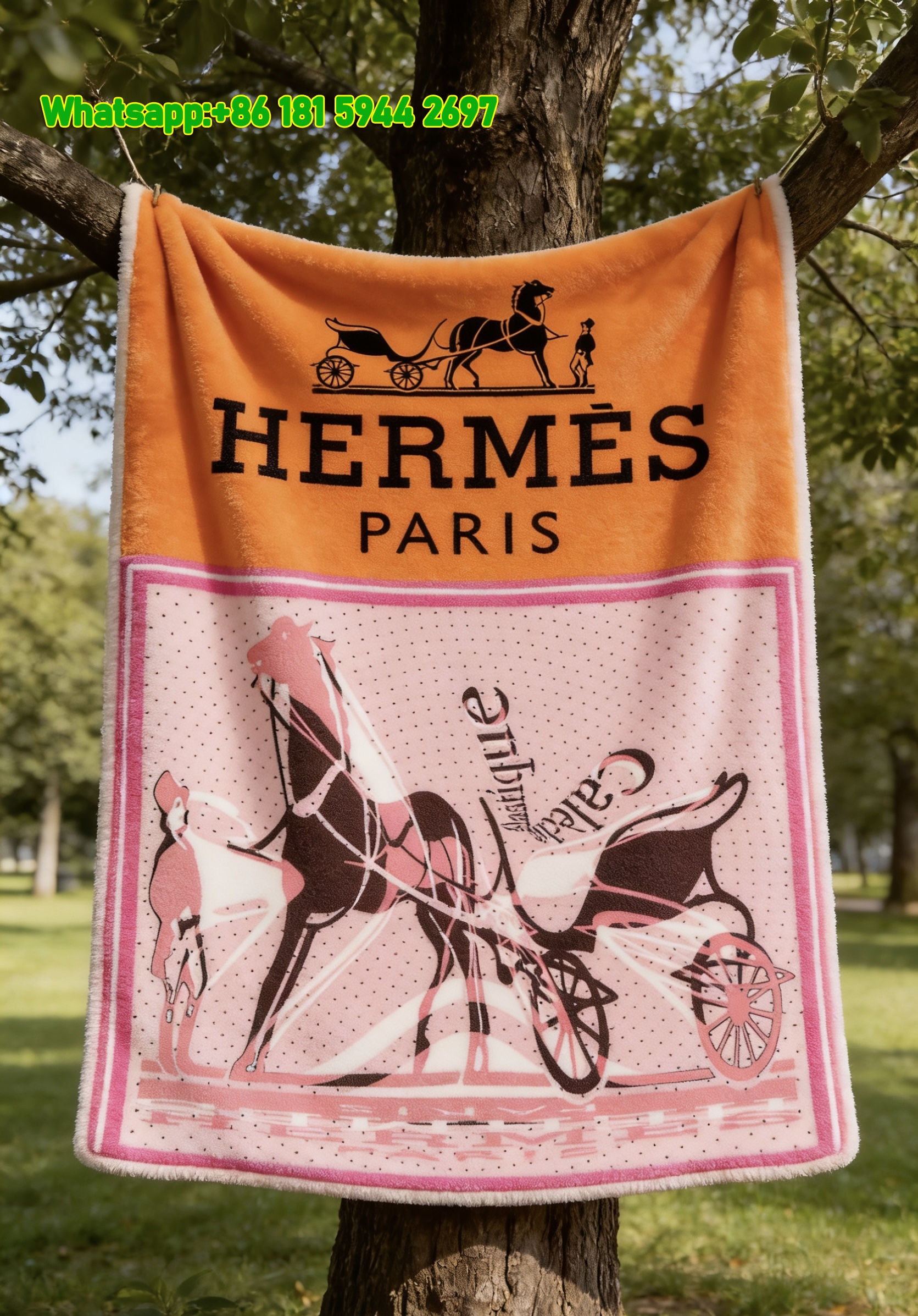 Hermès Classic Horse Carriage Flannel Fleece Throw Blanket IMG_4993